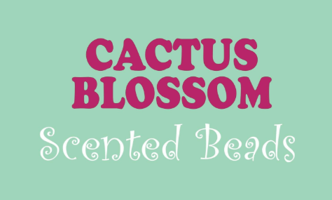 Cactus Blossom (our Version)