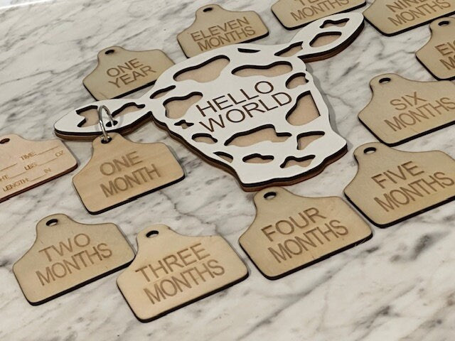 Cow Tag Baby Milestones, Monthly Growth Tags, Baby Photo Props, Newborn Announcement, Cow Tag, Cow Baby Announcement