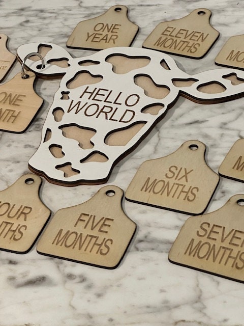 Cow Tag Baby Milestones, Monthly Growth Tags, Baby Photo Props, Newborn Announcement, Cow Tag, Cow Baby Announcement