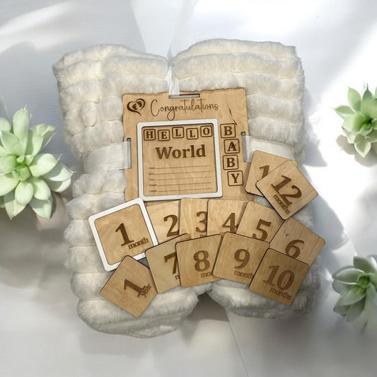 Blanket Tag & Interchangeable Milestones, Newborn Photo Props, Infant Milestone Pictures, Baby Monthly Tracker, Blanket Tag, Baby Monthly