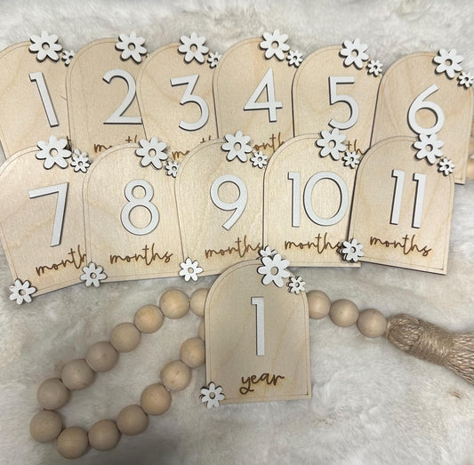 Daisy Milestones, Baby Milestones, Monthly Photo Tags, Baby Month Markers, Daisy Nursery Decor, Custom, Gift, Baby Shower, Daisy Baby Tags
