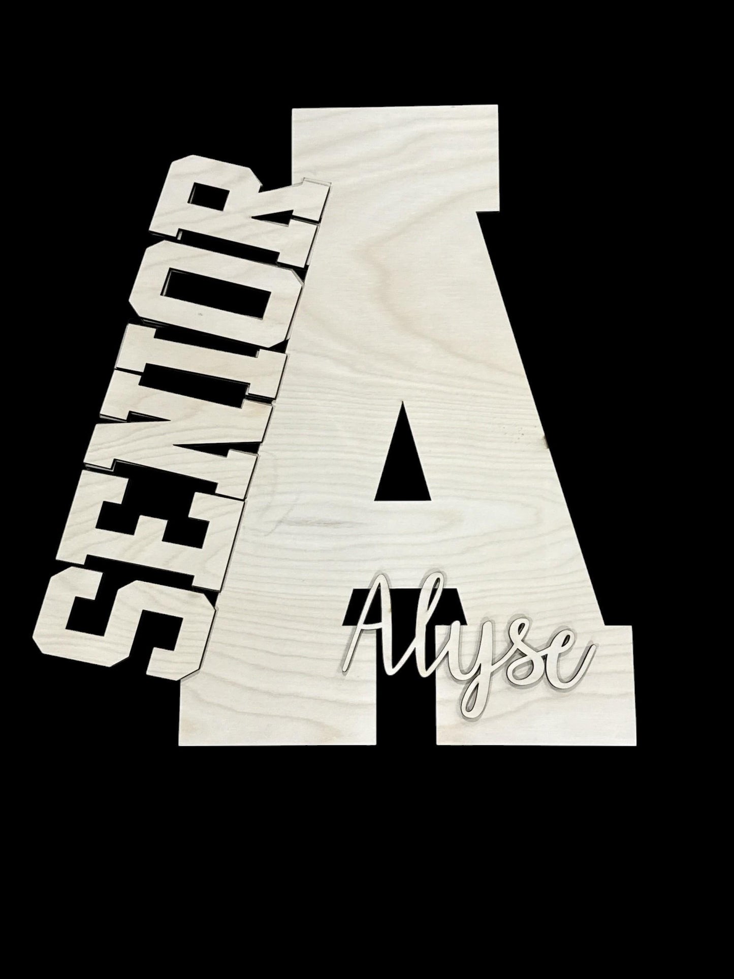 DIY Senior Fun Signs, Door Hanger: Unfinished DIY Craft Project, Senior Name Sign