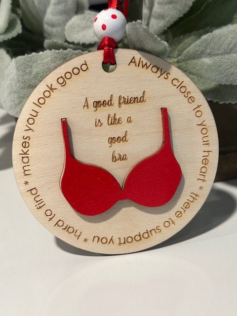 Funny Friend Ornament, Best Friends Christmas Ornament, Humorous Gift Exchange, Funny Holiday Ornament, Friendship Christmas Keepsake