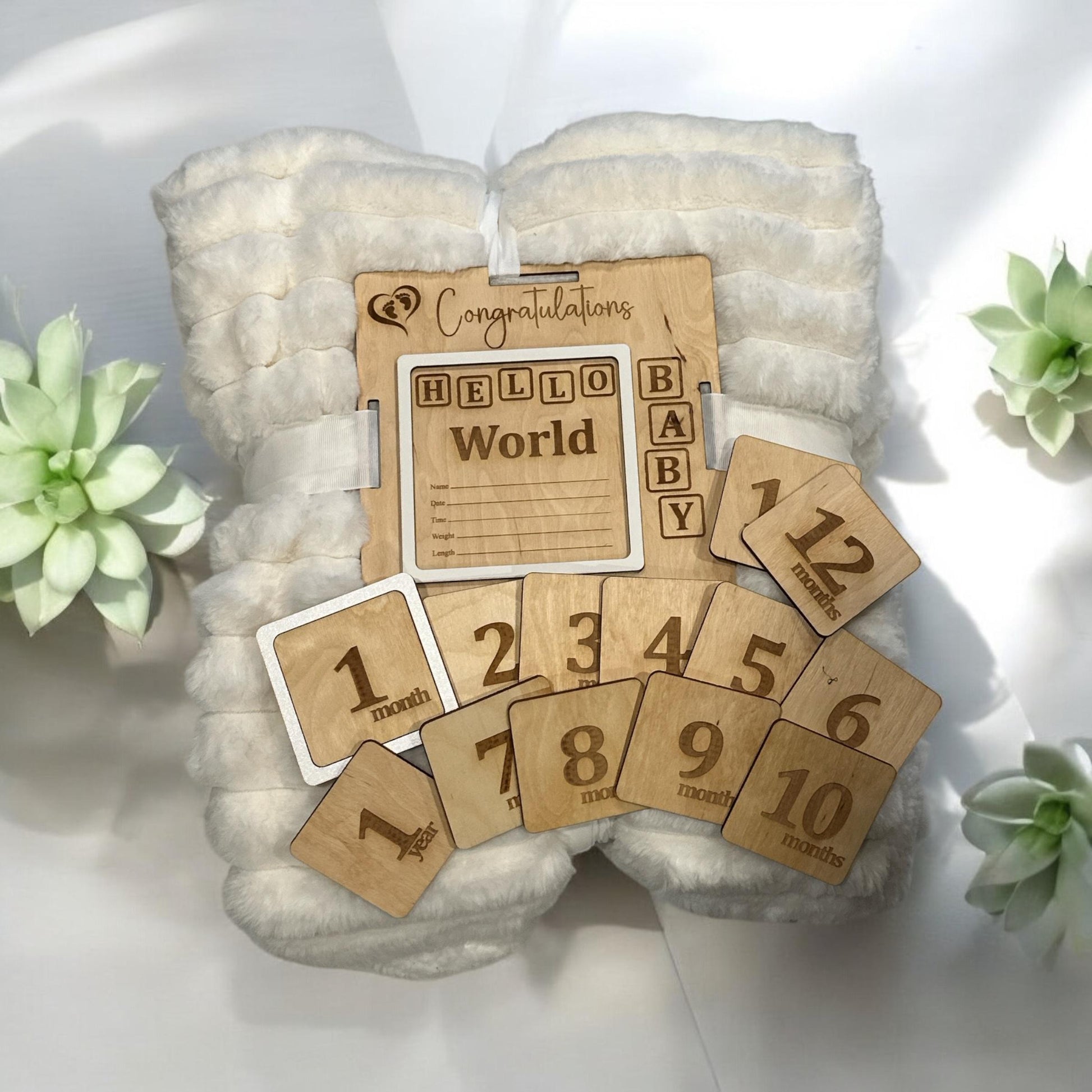 Blanket Tag & Interchangeable Milestones, Newborn Photo Props, Infant Milestone Pictures, Baby Monthly Tracker, Blanket Tag, Baby Monthly