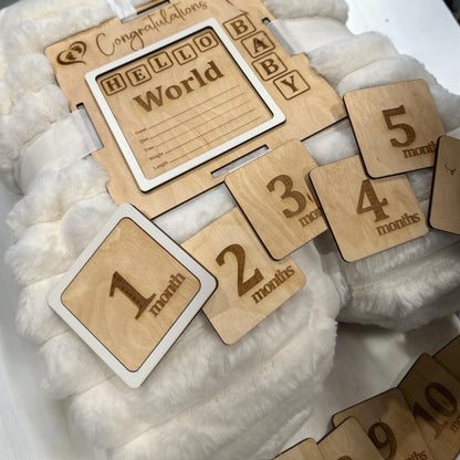 Blanket Tag & Interchangeable Milestones, Newborn Photo Props, Infant Milestone Pictures, Baby Monthly Tracker, Blanket Tag, Baby Monthly