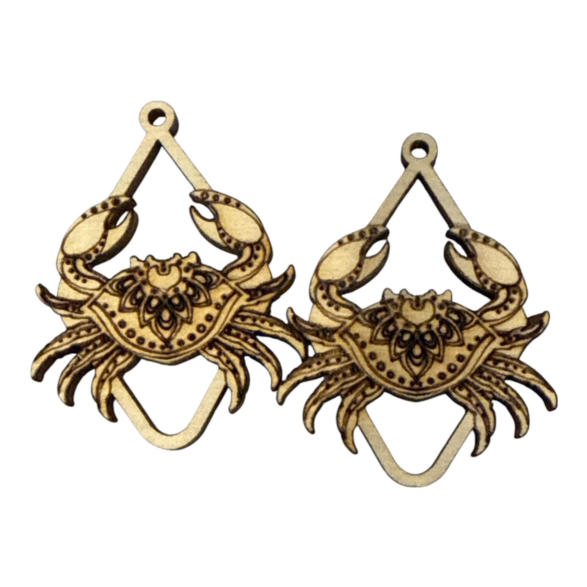 DIY Bug Single Earrings, Engraved Wooden Earrings Unfinished