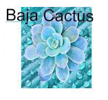 Baja Cactus