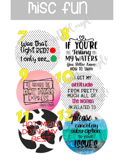 Misc Fun 1 Cardstock Rounds /Fresheners cardstock/ Cardstock / Embellishments