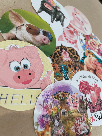 Cardstock Rounds Grab bag /Fresheners cardstock/ Cardstock / Embellishments