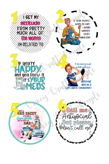 Funny/ Funny Cardstock Rounds /Fresheners cardstock/ Cardstock / Embellishments