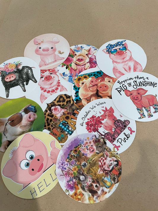 Cardstock Rounds Grab bag /Fresheners cardstock/ Cardstock / Embellishments